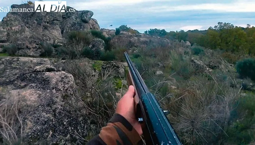 Tras las últimas perdices de las Arribes / CORRAL