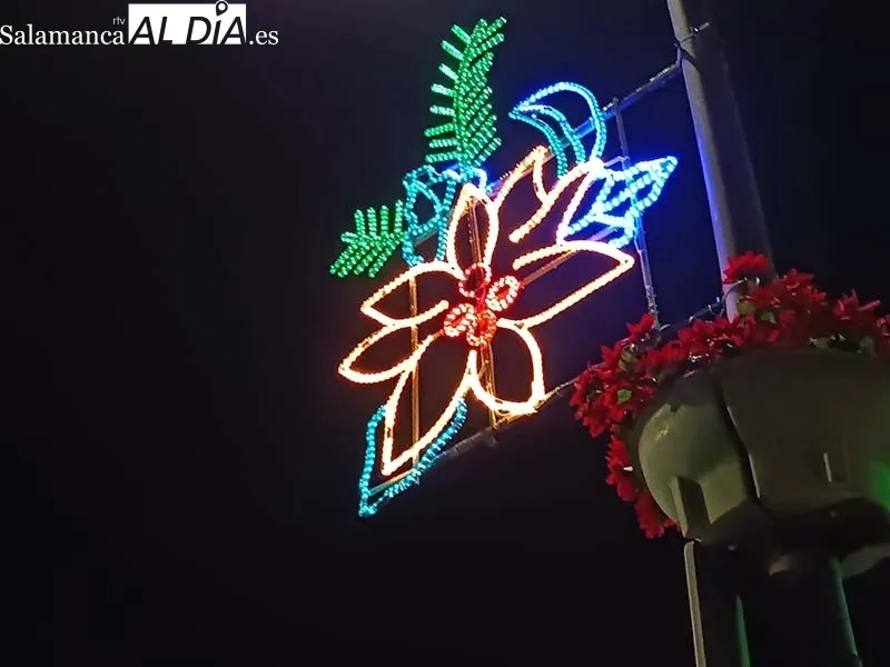 Foto 8 - Luces, sonido y&hellip; ya es Navidad en B&eacute;jar