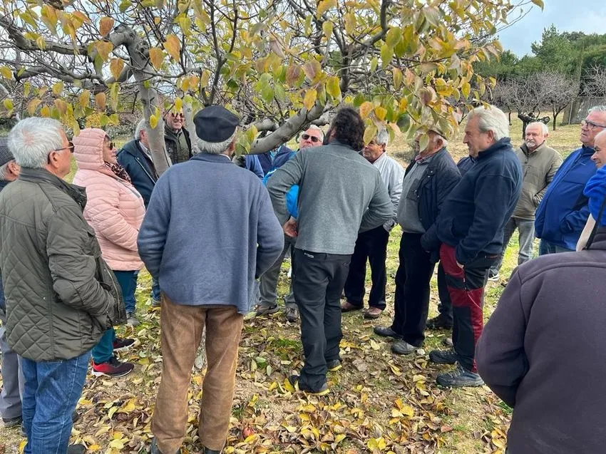 Foto 5 - Buena participaci&oacute;n en el taller de poda desarrollado en Mieza y promovido por Adezos y Adecocir