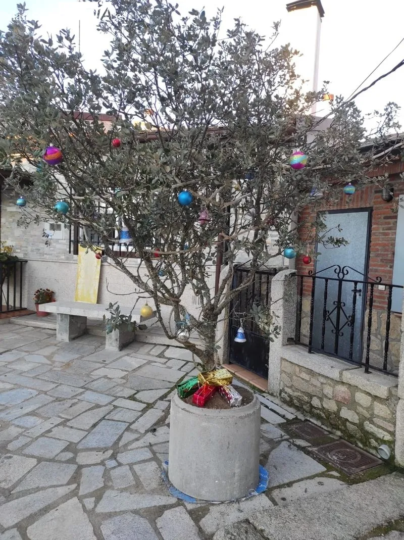 El grupo de mujeres se ha encargado de la decoración navideña del municipio