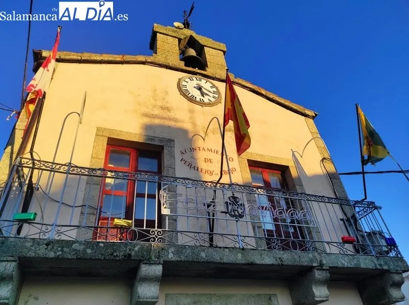 El grupo de mujeres se ha encargado de la decoración navideña del municipio