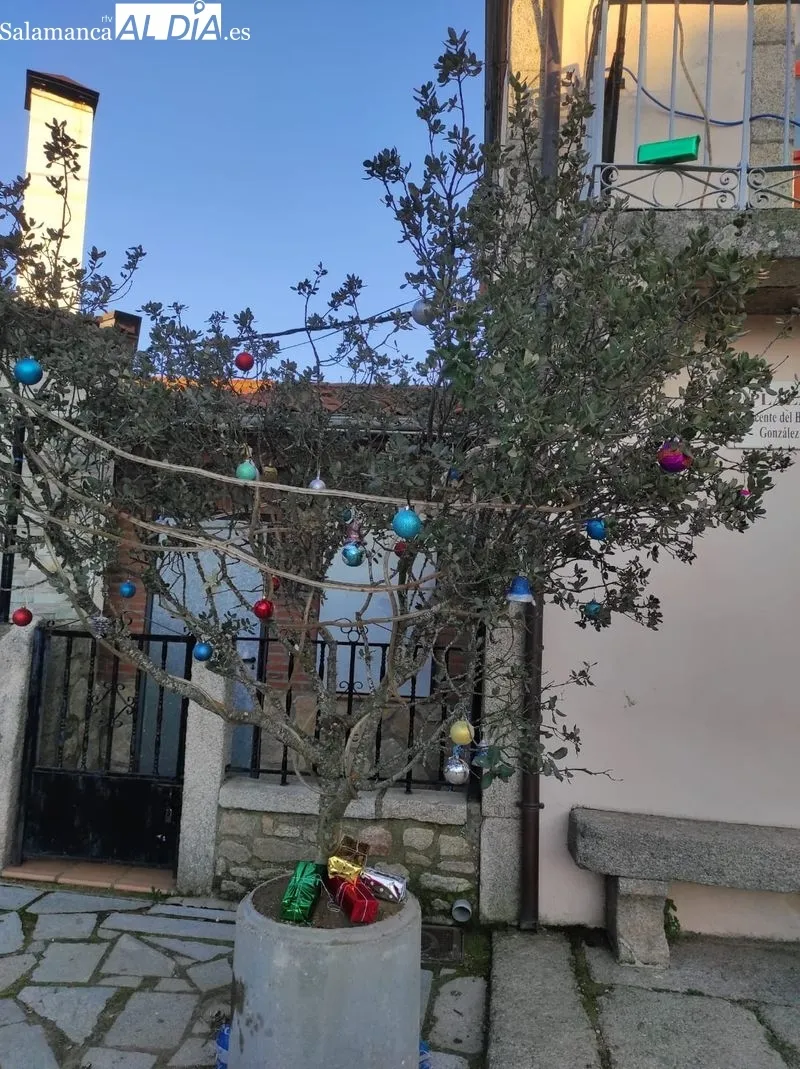 El grupo de mujeres se ha encargado de la decoración navideña del municipio