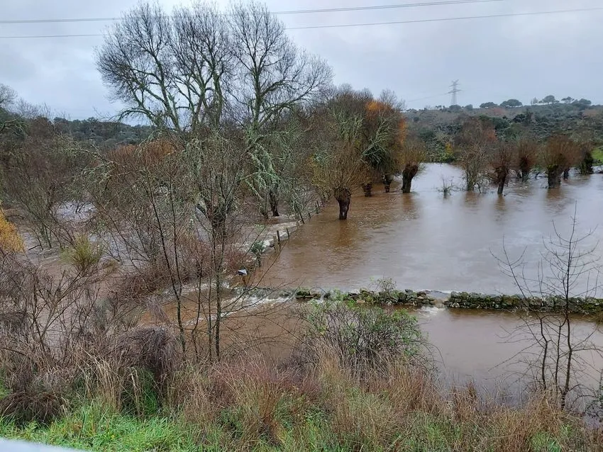 Rivera de La Granja en Bañobárez