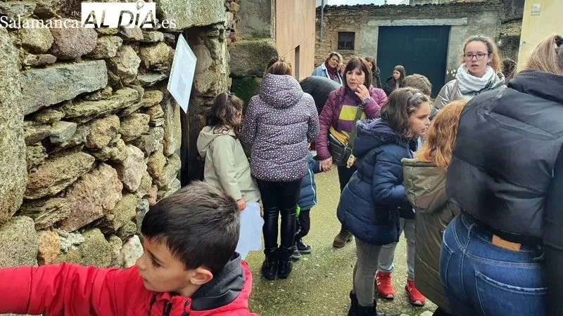 Foto 9 - La XXI Matanza T&iacute;pica del cerdo congrega a vecinos y turistas en Hinojosa de Duero