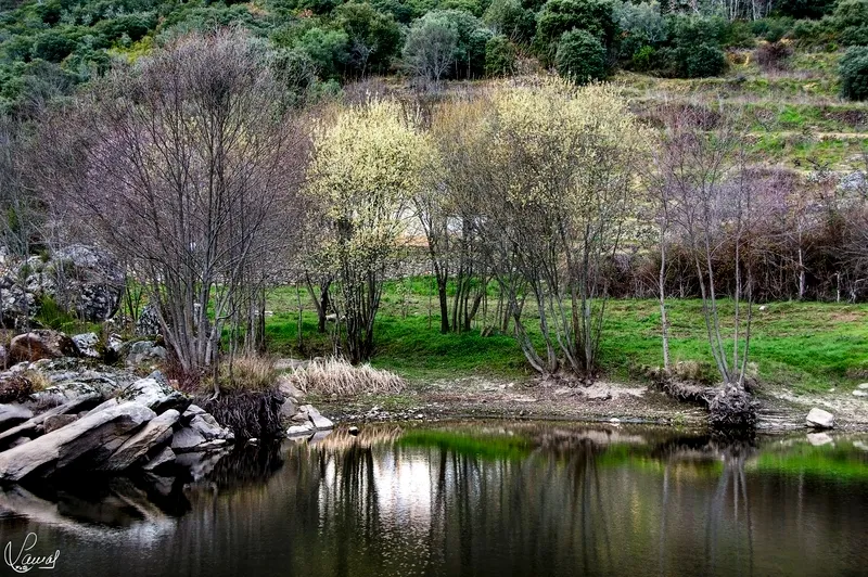 Foto 6 - San Esteban de la Sierra, un lugar para disfrutar