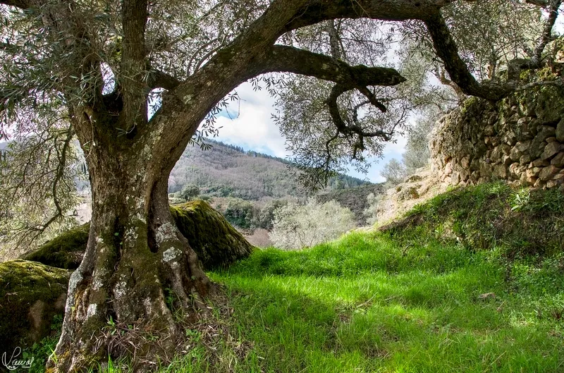 Foto 9 - San Esteban de la Sierra, un lugar para disfrutar