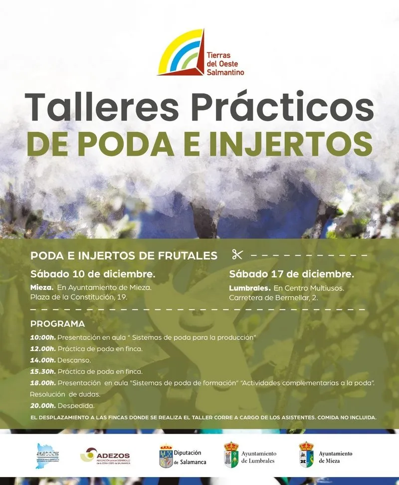 Foto 2 - Mieza y Lumbrales acoger&aacute;n sendos talleres pr&aacute;cticos de poda e injerto de frutales