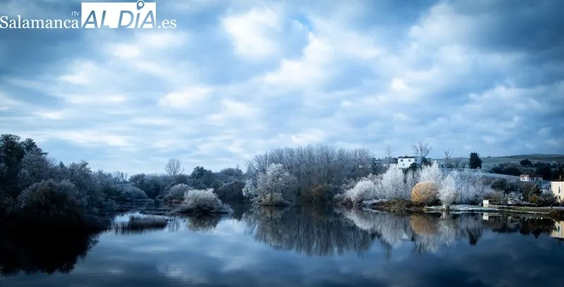 Foto 7 - Alba de Tormes despierta cubierta por un manto blanco de cencellada