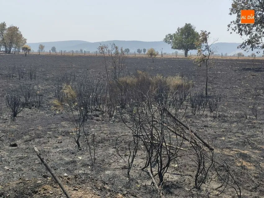Foto 7 - La Asociaci&oacute;n de Cazadores de Puerto Seguro invita a una monter&iacute;a a cazadores de la zona afectada por los fuegos del 15 de julio en la Sierra de Francia