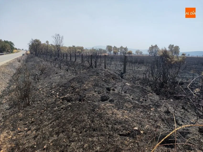 Foto 5 - La Asociaci&oacute;n de Cazadores de Puerto Seguro invita a una monter&iacute;a a cazadores de la zona afectada por los fuegos del 15 de julio en la Sierra de Francia