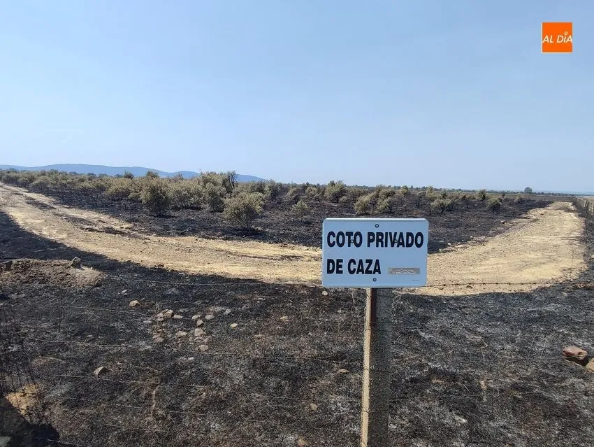 Foto 3 - La Asociaci&oacute;n de Cazadores de Puerto Seguro invita a una monter&iacute;a a cazadores de la zona afectada por los fuegos del 15 de julio en la Sierra de Francia