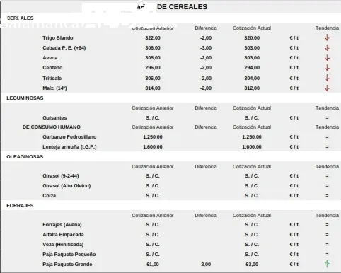 Repetición en el vacuno de cebo y para sacrificio / CORRAL 
