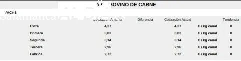 Repetición en el vacuno de cebo y para sacrificio / CORRAL 