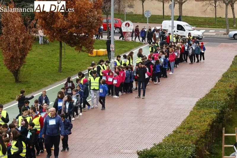 El Colegio Marista Champagnat ha celebrado esta mañana su tradicional Marcha de Navidad Solidaria. Foto de David Sañudo