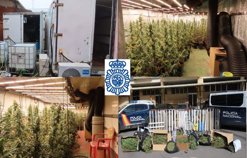 Plantación de marihuana en Salamanca, en una nave y en dos remolques de camiones