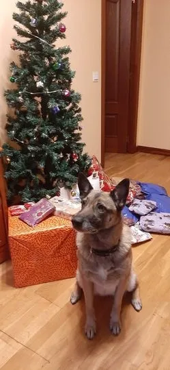 Foto 5 - La ilusi&oacute;n de los salmantinos por los regalos de los Reyes Magos