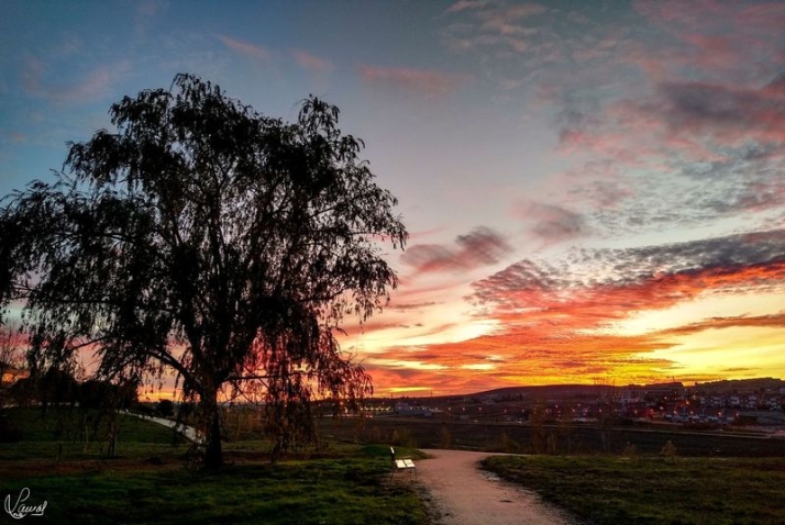 Fotos Salamanca: El Zurguén
