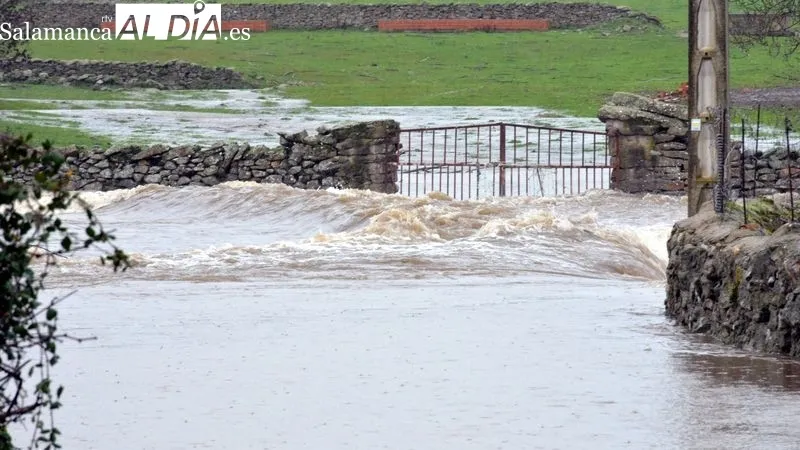 El agua anegó fincas y otras infraestructuras rurales y urbanas