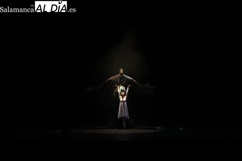 Ballet El Lago de los Cisnes. Fotos David Sañudo