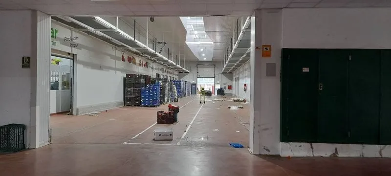 Los alumnos de 3º de Educación Primaria del colegio San Juan Bosco, en las instalaciones de Mercasalamanca