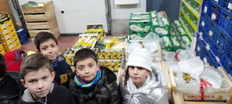 Los alumnos de 3º de Educación Primaria del colegio San Juan Bosco, en las instalaciones de Mercasalamanca