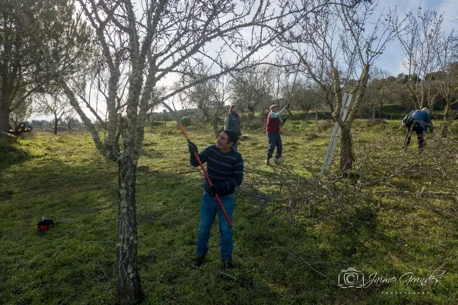 Foto 2 - Nace en Puerto Seguro la iniciativa &lsquo;Amadrina una almendrera&rsquo;