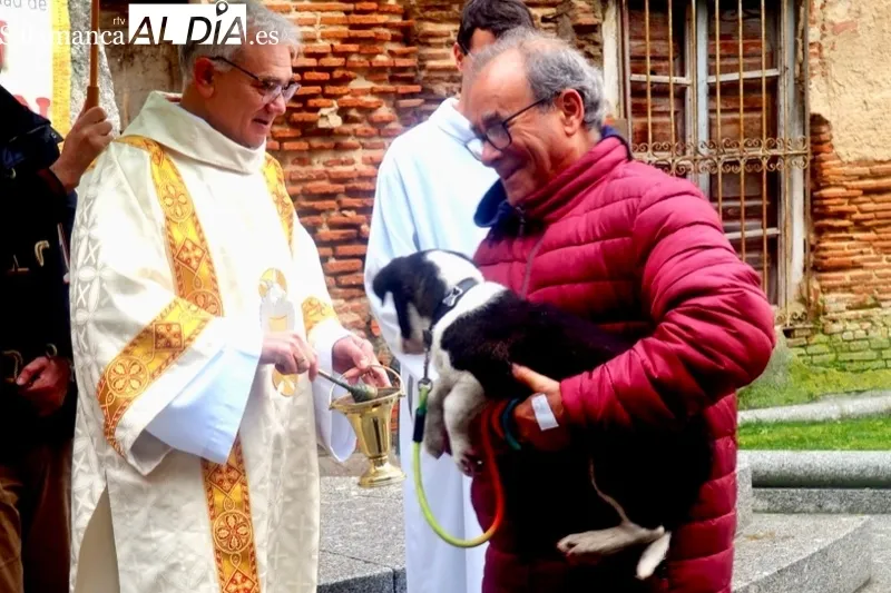 Peñaranda celebraba este sábado la bendición de San Antón
