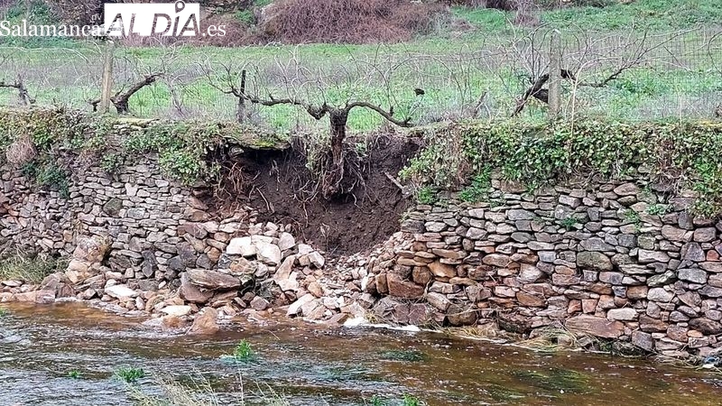 Foto 2 - El alcalde de Hinojosa pide ayudas para los afectados por las lluvias y las riadas