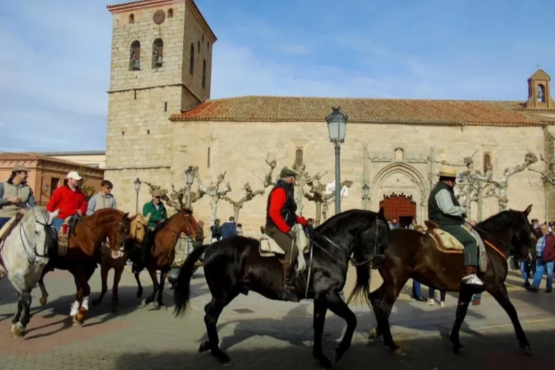 Macotera celebraba la tradicional bendición de San Antón. José Guerras
