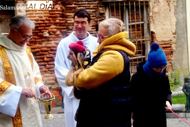 Peñaranda celebraba este sábado la bendición de San Antón