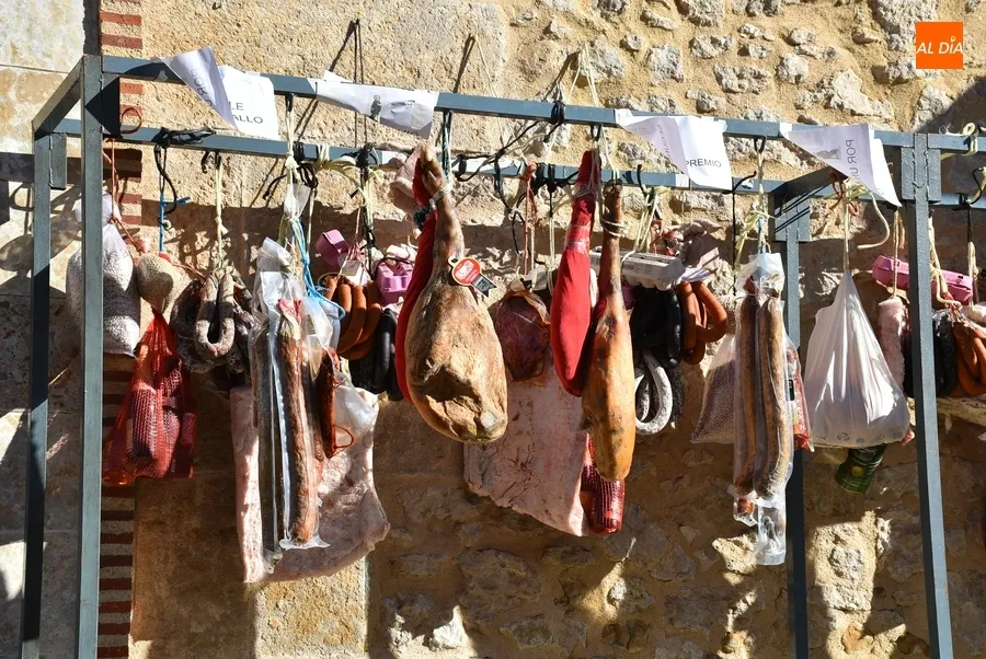 Foto 3 - San Ant&oacute;n bendice desde una carroza a cuatro perros y un gato en El Puente