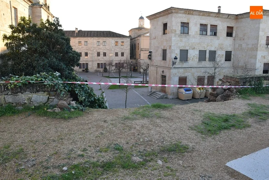 Foto 3 - El derrumbe de la muralla provoca las primeras apariciones a nivel nacional de Mir&oacute;briga en 2023