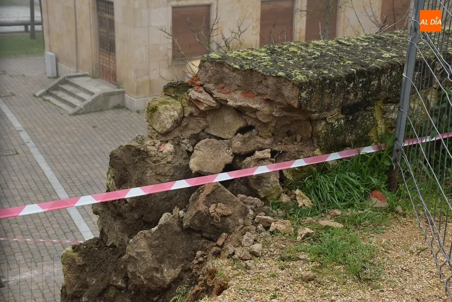 Foto 5 - El derrumbe de la muralla provoca las primeras apariciones a nivel nacional de Mir&oacute;briga en 2023