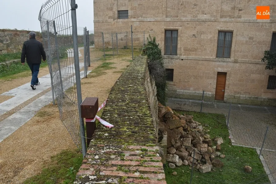Foto 7 - El derrumbe de la muralla provoca las primeras apariciones a nivel nacional de Mir&oacute;briga en 2023