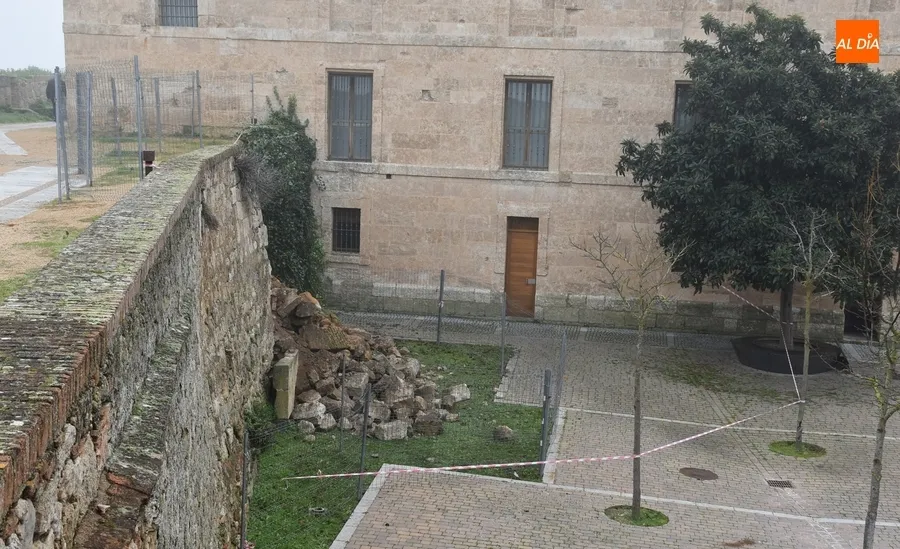 Foto 8 - El derrumbe de la muralla provoca las primeras apariciones a nivel nacional de Mir&oacute;briga en 2023