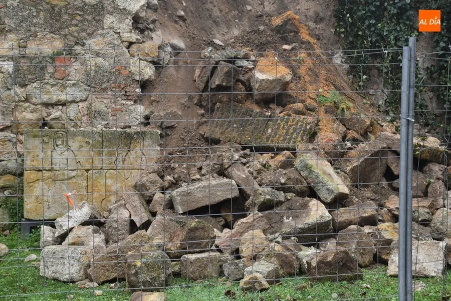 Foto 10 - El derrumbe de la muralla provoca las primeras apariciones a nivel nacional de Mir&oacute;briga en 2023