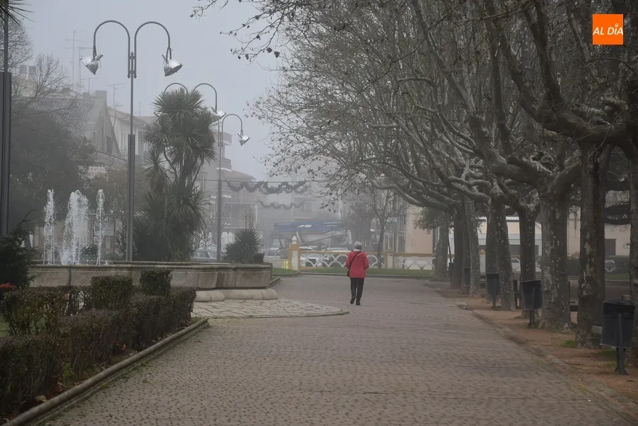 Foto 8 - Retornan tres a&ntilde;os despu&eacute;s los tronos reales a los soportales de la Casa Consistorial