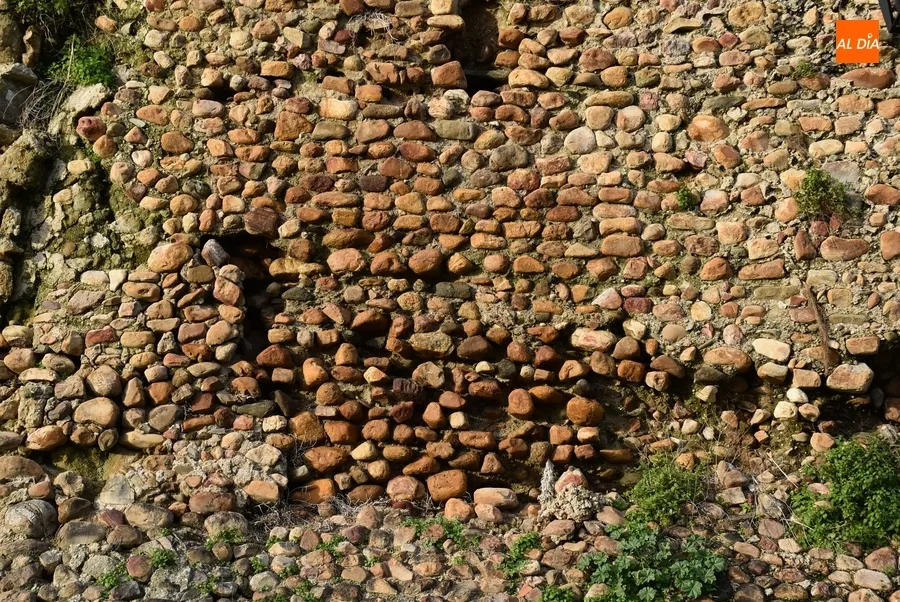 Foto 8 - El Ayuntamiento denuncia el peligroso estado de la Muralla entre la Bater&iacute;a y la Puerta de Santiago