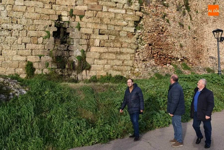 Foto 9 - El Ayuntamiento denuncia el peligroso estado de la Muralla entre la Bater&iacute;a y la Puerta de Santiago