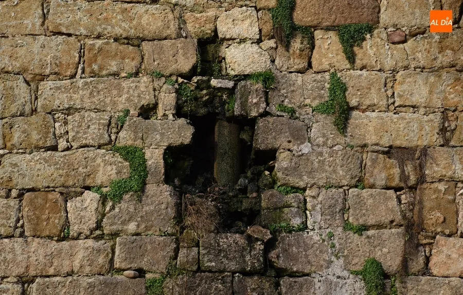 Foto 10 - El Ayuntamiento denuncia el peligroso estado de la Muralla entre la Bater&iacute;a y la Puerta de Santiago