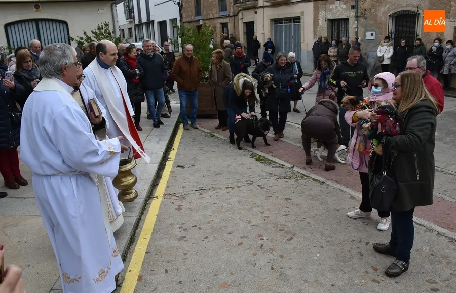 Foto 7 - Una decena de perros recibe en San Andr&eacute;s la bendici&oacute;n del patr&oacute;n de los animales