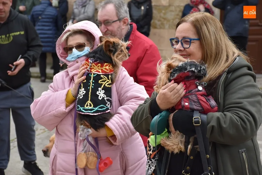 Foto 8 - Una decena de perros recibe en San Andr&eacute;s la bendici&oacute;n del patr&oacute;n de los animales