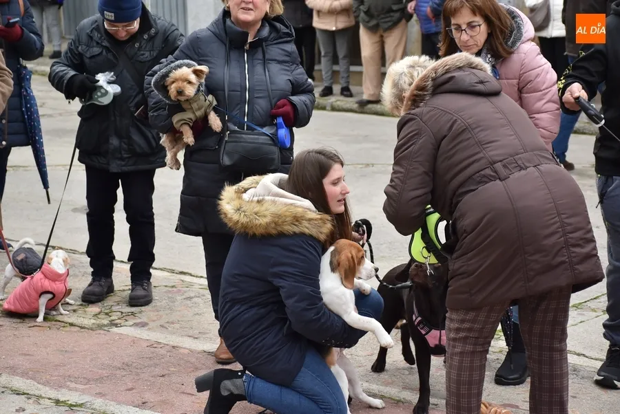 Foto 9 - Una decena de perros recibe en San Andr&eacute;s la bendici&oacute;n del patr&oacute;n de los animales