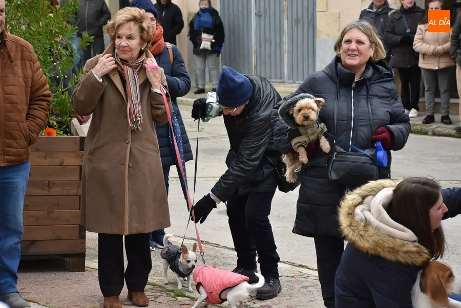 Foto 10 - Una decena de perros recibe en San Andr&eacute;s la bendici&oacute;n del patr&oacute;n de los animales