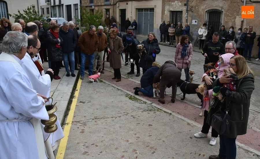 Foto 11 - Una decena de perros recibe en San Andr&eacute;s la bendici&oacute;n del patr&oacute;n de los animales