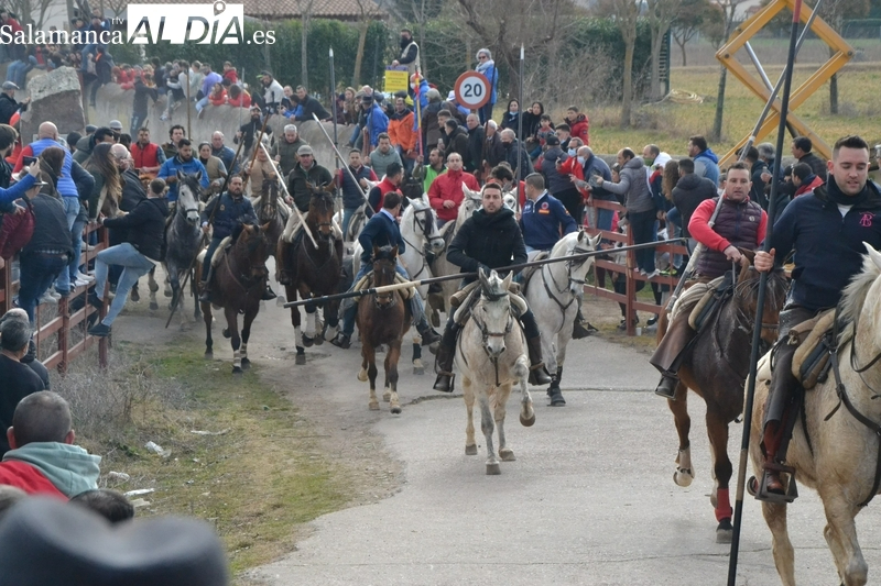 Foto 1 - Adjudicada a Casasola la organización del encierro a caballo y a Ángel Santos el servicio de pastores