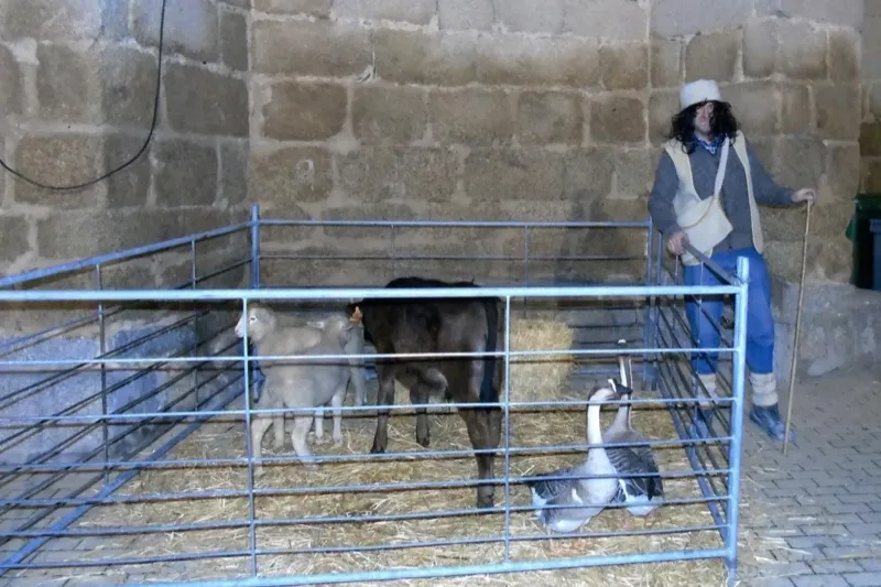 Macotera vive una intensa jornada festiva junto a los Reyes Magos