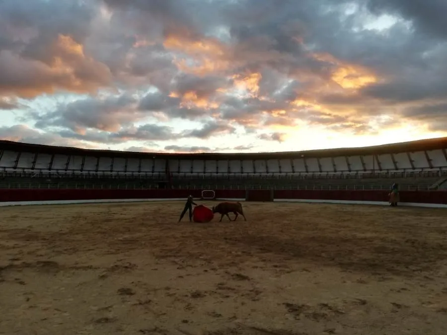Foto 8 - Buen juego de las vacas de Ignacio L&oacute;pez Chaves en la parada del Bols&iacute;n en Ledesma
