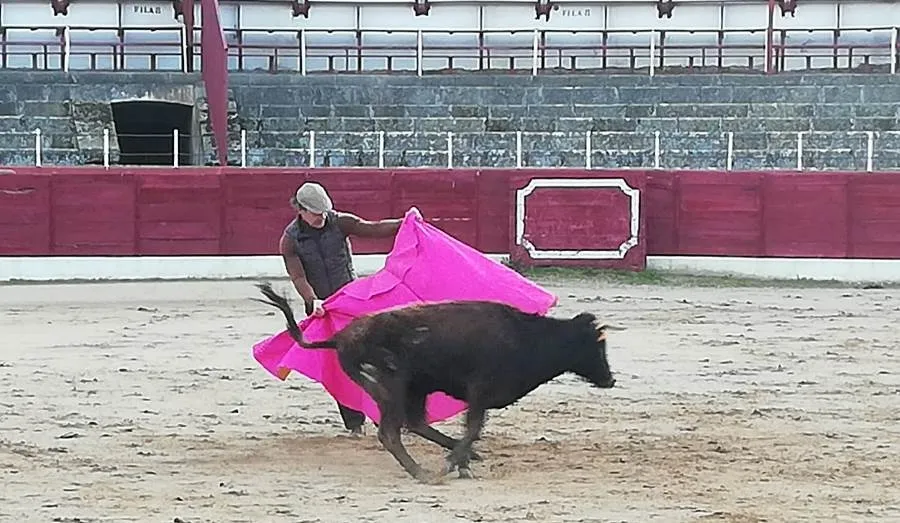 Foto 5 - Buen juego de las vacas de Ignacio L&oacute;pez Chaves en la parada del Bols&iacute;n en Ledesma
