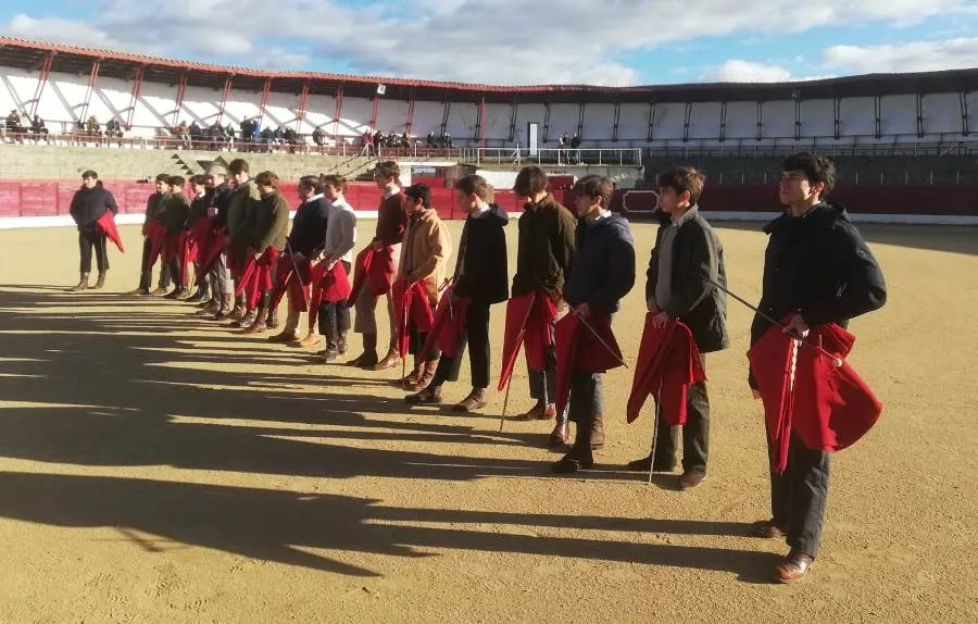 Foto 3 - Buen juego de las vacas de Ignacio L&oacute;pez Chaves en la parada del Bols&iacute;n en Ledesma